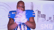 College Sports Ncaa GIF by SMU Football