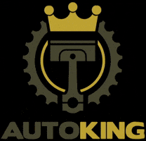 autokingsk  GIF
