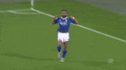 Football Soccer GIF by FC Schalke 04
