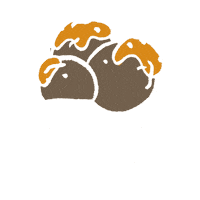 Comida Icecream Sticker by CrossCafe