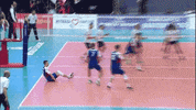 Czech Republic Wow GIF by Volleyball World