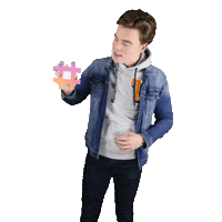 camentertainment princeoftricks camiel hemminga Sticker