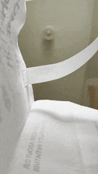 Dog Shiba GIF