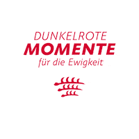 Sticker by VfB Stuttgart