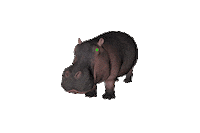 hungry hippo Sticker