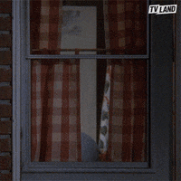 Leah Remini Stop GIF by TV Land