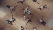 jungle4eva dance cherry jungle jungle4eva GIF