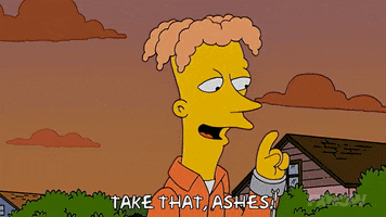 Episode 8 GIF by The Simpsons