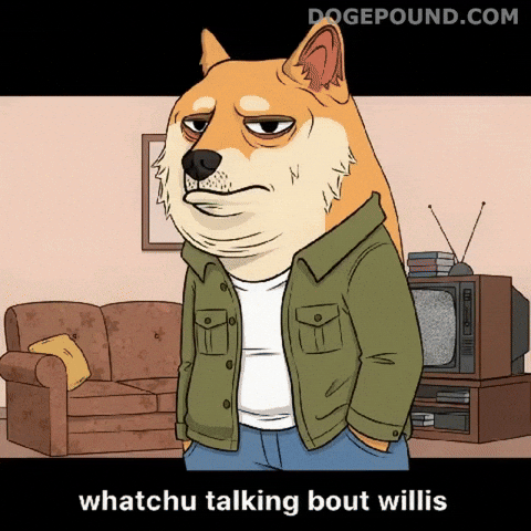 Shiba Inu What GIF by Doge Pound