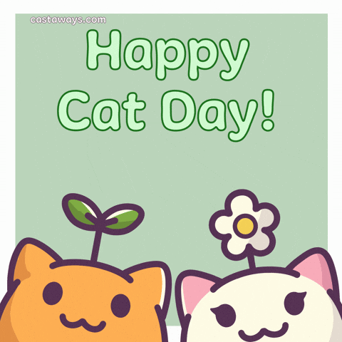 International Cat Day GIF by Castaways