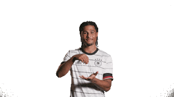 Germany Goal Sticker by DFB-Teams