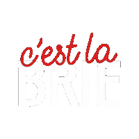 Cheese Brie Sticker by Kavli