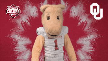 Excited College Sports GIF by College Colors Day