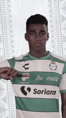 clubsantos  GIF
