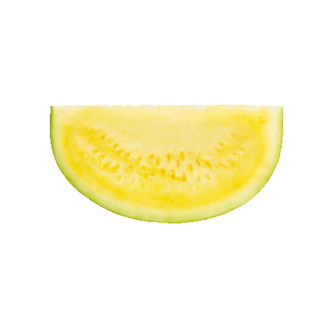 melanciapingodoce giphygifmaker melancia pingo doce amarelinha Sticker