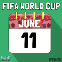 World Cup Football GIF by Pudgy Penguins