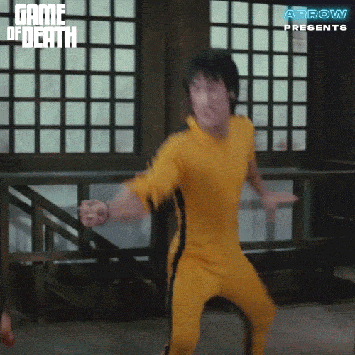 Martial Arts Film GIF by Arrow Video