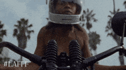 lafashionfestival woman california la los angeles GIF