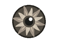 IrisFotoSchweiz photography eye spinning switzerland Sticker