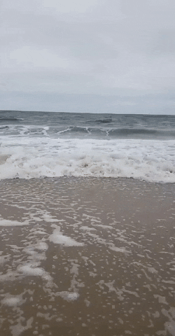 laurowl26 giphygifmaker ocean waves GIF