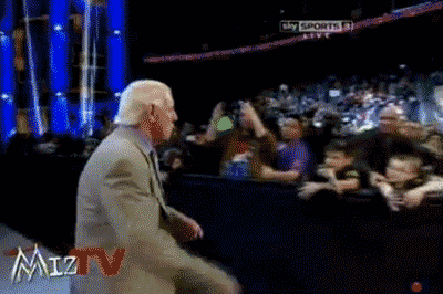 ric flair wwe GIF by G1ft3d