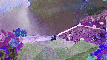 night moves GIF by Domino Recording Co.