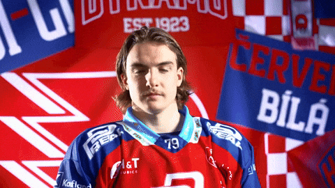 Hockeytown GIF by HC Dynamo Pardubice