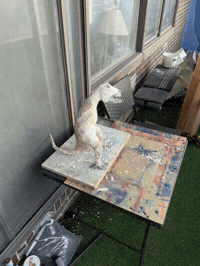 Fan Studio GIF by Alex Boya