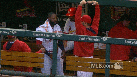 St Louis Cardinals Baseball GIF by MLB