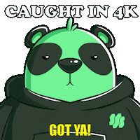 Got You Panda Sticker by SuperVerse