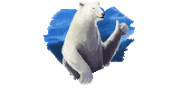 coolbetchile bet casino coolbet Sticker