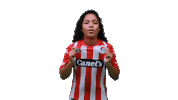 San Luis Soccer Sticker by Atlético de San Luis