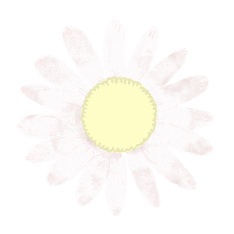 sorairo87 giphyupload flower かわいい 花 Sticker