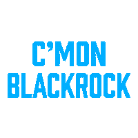 Leinster Blackrock Sticker by Bank of Ireland
