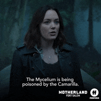 Season 3 Ff GIF by Motherland: Fort Salem