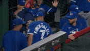 Home Run High Fives GIF by Toronto Blue Jays