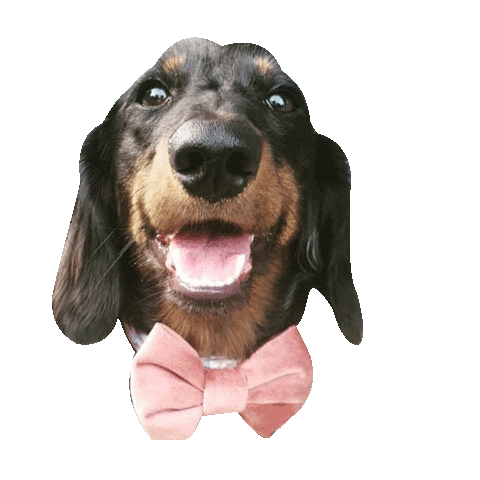 Happy Tongue Sticker by DopeDog