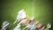 San Francisco 49Ers GIF by NFL