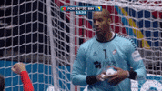 Save Fc Porto GIF by EHF