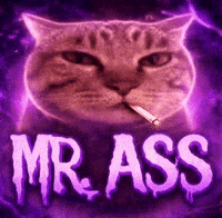 Cat GIF
