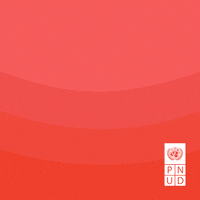 Gender Equality Feminism GIF by UN Development Programme