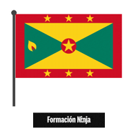 Flag Bandera Sticker by Formación Ninja