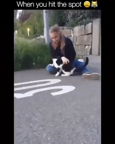 vocaovan giphyupload GIF