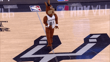 excited nba playoffs GIF by NBA