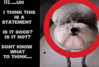 Statement GIF