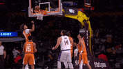 Nba Playoffs Sport GIF by NBA