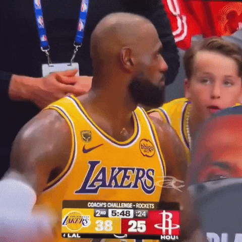 Lebron Lakers GIF by Respective
