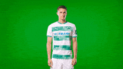 Pointing Kleeblatt GIF by SpVgg Greuther Fürth