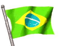 brazil STICKER