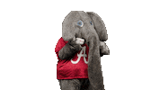 Big Al Tea Sticker by The University of Alabama